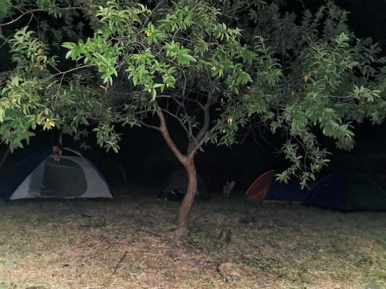 campamento2